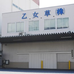 少数精鋭で自由な社風なので、一人ひとりが実践したいことを後押しできる環境が整っています。