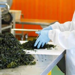 海藻類の加工食品を専門とする当社。ニーズに合った新しい商品の開発にも取り組んでいます。