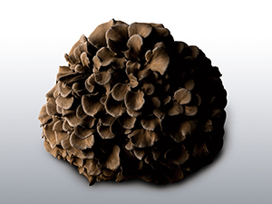 Job from https://doda.jp/DodaFront/View/JobSearchDetail/j_jid__3012750246/