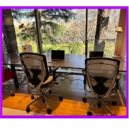 緑が見える開放的なオフィス。全員席が近いため、判断に迷った際にはすぐに聞ける環境が整っています！