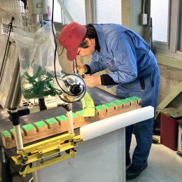 一つひとつを手作業で正確に進めていきます。仕事を通し、自然と技術力が磨かれていきます。