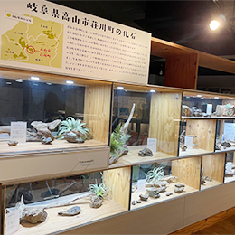 みんなで堀った化石が書籍化！？新規事業の今後にも期待が膨らみます。