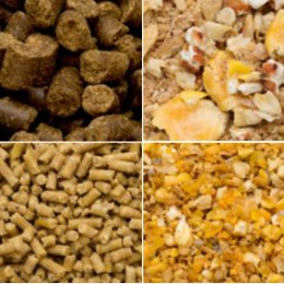 “飼料”を通じて、日本の「食」を支えるやりがいある仕事です。