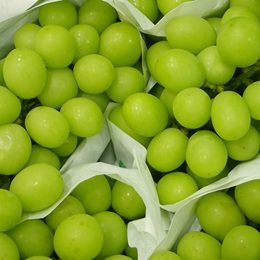 マスカットなどの高級フルーツも取り扱います。せり後、業者を通じて、全国の販売店に届けられます。