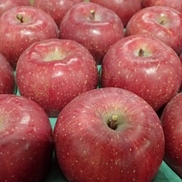 安心・安全な青果物を消費者に届けるという社会的使命を持つ、食のインフラ企業です！