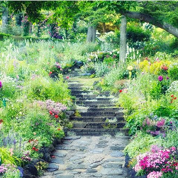 園内の花やハーブは、来園される多くのお客様を楽しませています！