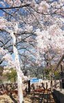 事業所の情報＿００５