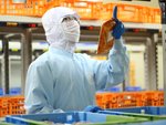 食品の生産管理・生産管理・正社員