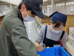 倉庫内作業スタッフ(夕方からの勤務でWワークOK・未経験OK)
