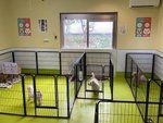 保護犬保護猫のお世話スタッフ・里親が見つかるまでのお世話スタッフ・シャンプー（爪切りができる方大歓迎・トリミング経験者大歓迎）