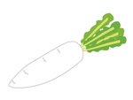 基本大根は季節短期です！初心者でもしっかり作業出来ます。